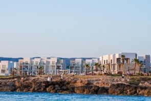 Amphora & Suites
